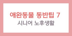 애완동물 동반 시니어 노후 생활